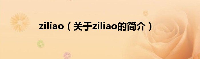 ziliao（关于ziliao的简介）