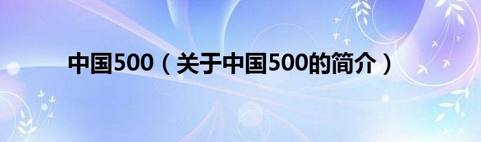 中国500（关于中国500的简介）