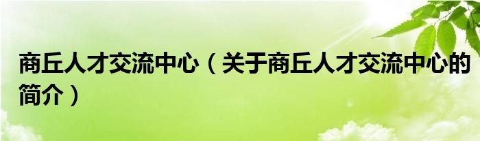 商丘人才交流中心（关于商丘人才交流中心的简介）