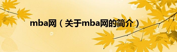 mba网（关于mba网的简介）