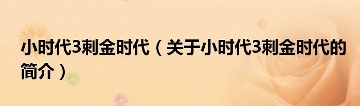 小时代3刺金时代（关于小时代3刺金时代的简介）