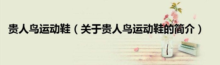 贵人鸟运动鞋（关于贵人鸟运动鞋的简介）