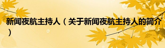 新闻夜航主持人（关于新闻夜航主持人的简介）