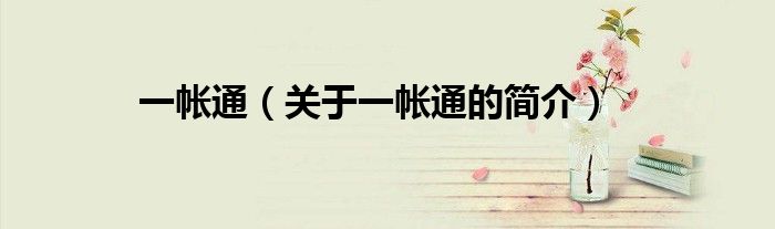 一帐通（关于一帐通的简介）