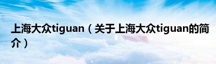 上海大众tiguan（关于上海大众tiguan的简介）