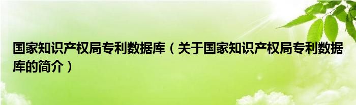 国家知识产权局专利数据库（关于国家知识产权局专利数据库的简介）