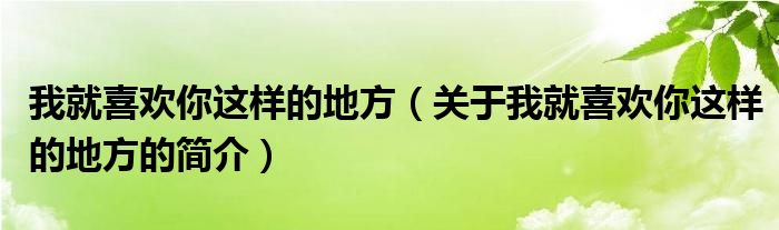 我就喜欢你这样的地方（关于我就喜欢你这样的地方的简介）