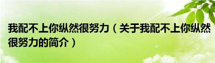 我配不上你纵然很努力（关于我配不上你纵然很努力的简介）