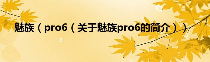 魅族（pro6（关于魅族pro6的简介））