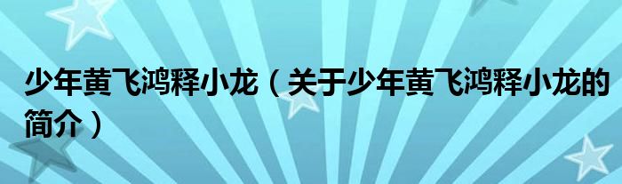 少年黄飞鸿释小龙（关于少年黄飞鸿释小龙的简介）