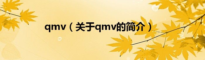 qmv（关于qmv的简介）