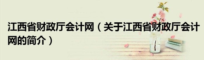 江西省财政厅会计网（关于江西省财政厅会计网的简介）