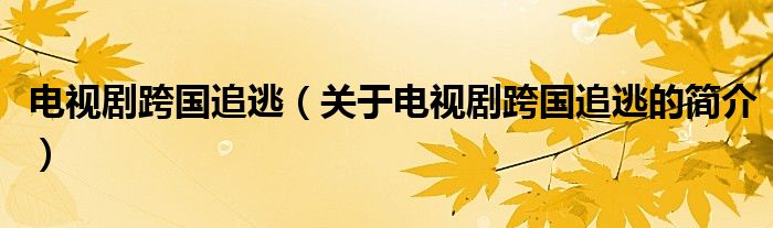 电视剧跨国追逃（关于电视剧跨国追逃的简介）