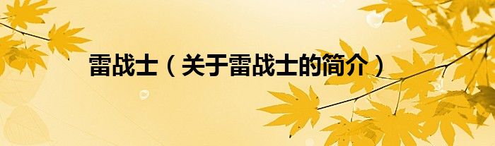 雷战士（关于雷战士的简介）