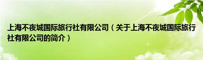 上海不夜城国际旅行社有限公司（关于上海不夜城国际旅行社有限公司的简介）