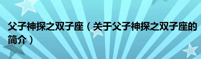 父子神探之双子座（关于父子神探之双子座的简介）