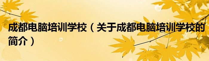 成都电脑培训学校（关于成都电脑培训学校的简介）