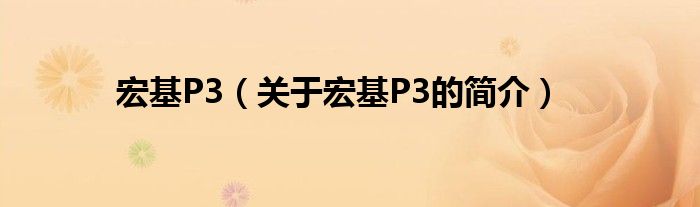 宏基P3（关于宏基P3的简介）