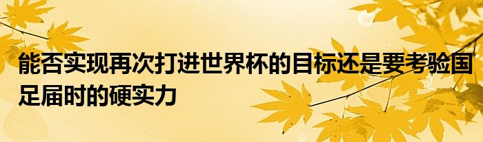 能否实现再次打进世界杯的目标还是要考验国足届时的硬实力