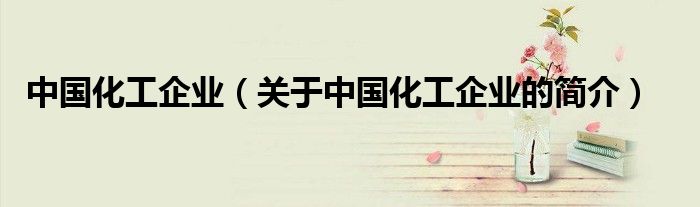 中国化工企业（关于中国化工企业的简介）