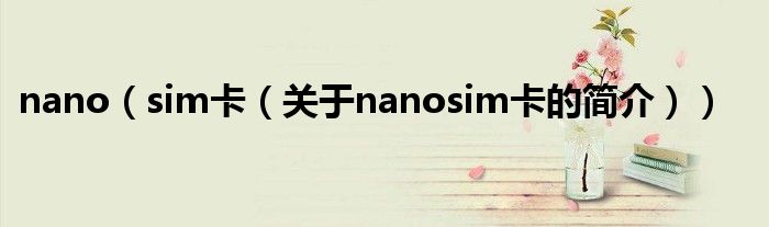 nano（sim卡（关于nanosim卡的简介））