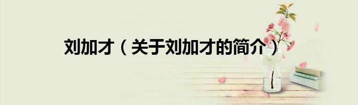 刘加才（关于刘加才的简介）
