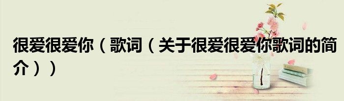 很爱很爱你（歌词（关于很爱很爱你歌词的简介））