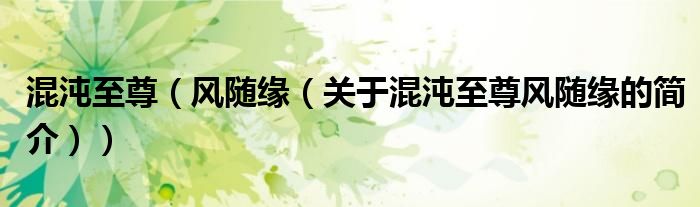 混沌至尊（风随缘（关于混沌至尊风随缘的简介））