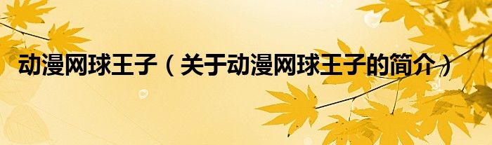 动漫网球王子（关于动漫网球王子的简介）