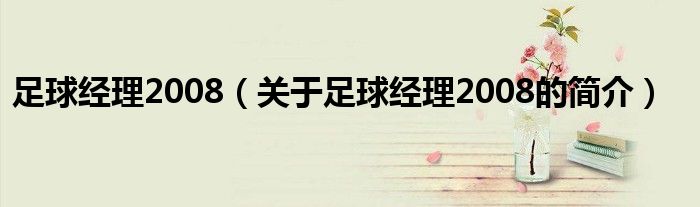 足球经理2008（关于足球经理2008的简介）