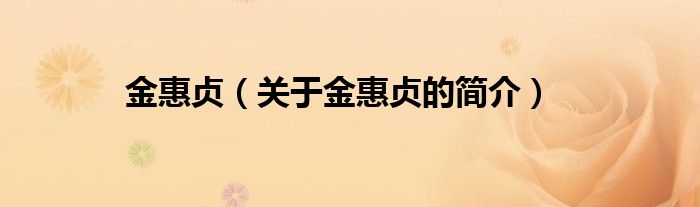 金惠贞（关于金惠贞的简介）