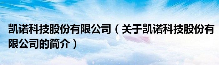 凯诺科技股份有限公司（关于凯诺科技股份有限公司的简介）