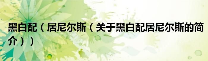 黑白配（居尼尔斯（关于黑白配居尼尔斯的简介））