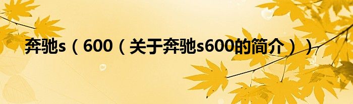奔驰s（600（关于奔驰s600的简介））