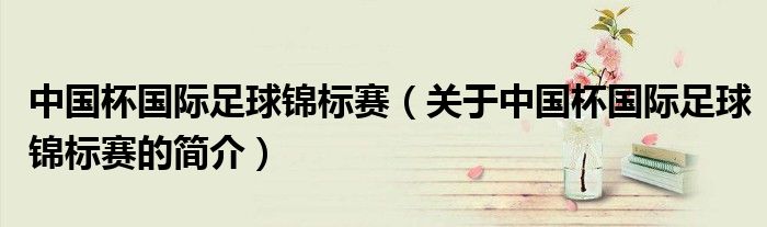 中国杯国际足球锦标赛（关于中国杯国际足球锦标赛的简介）