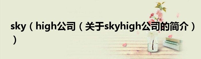 sky（high公司（关于skyhigh公司的简介））