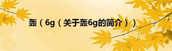 轰（6g（关于轰6g的简介））