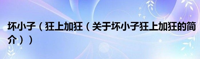坏小子（狂上加狂（关于坏小子狂上加狂的简介））