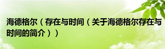 海德格尔（存在与时间（关于海德格尔存在与时间的简介））