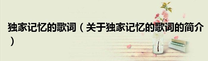 独家记忆的歌词（关于独家记忆的歌词的简介）