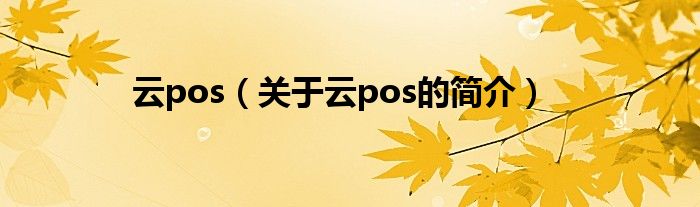 云pos（关于云pos的简介）