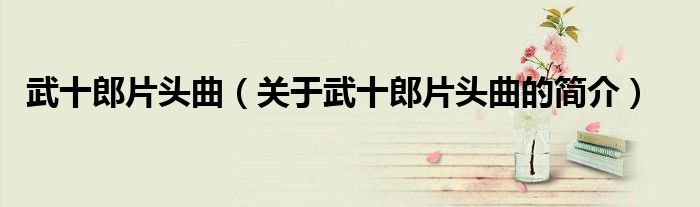 武十郎片头曲（关于武十郎片头曲的简介）
