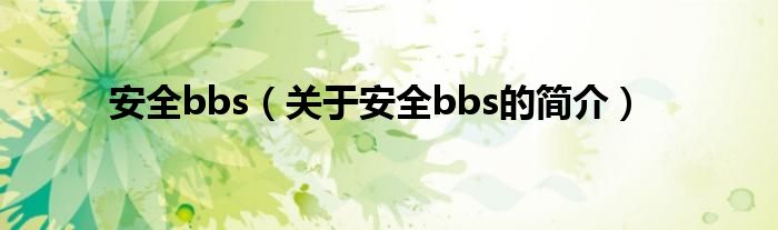 安全bbs（关于安全bbs的简介）