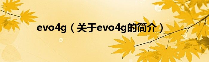 evo4g（关于evo4g的简介）
