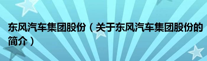 东风汽车集团股份（关于东风汽车集团股份的简介）