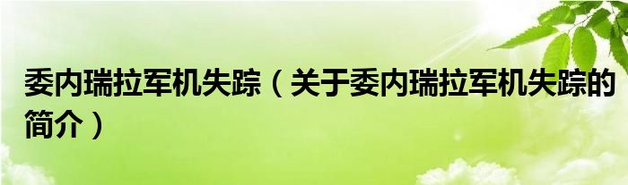 委内瑞拉军机失踪（关于委内瑞拉军机失踪的简介）