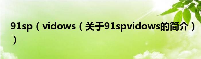 91sp（vidows（关于91spvidows的简介））