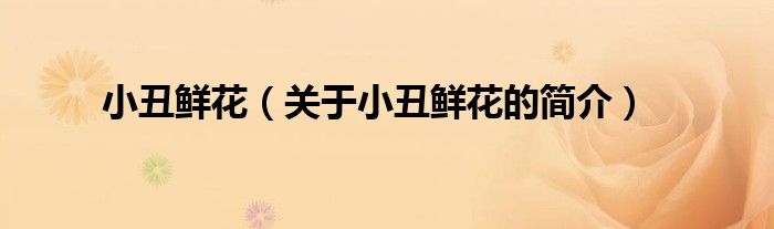 小丑鲜花（关于小丑鲜花的简介）