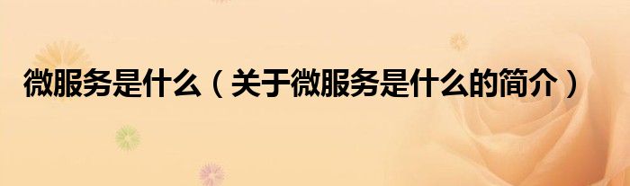 微服务是什么（关于微服务是什么的简介）