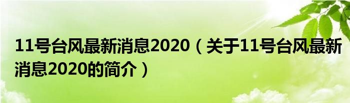 11号台风最新消息2020（关于11号台风最新消息2020的简介）